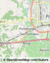 Piante e Fiori - Dettaglio,51100Pistoia