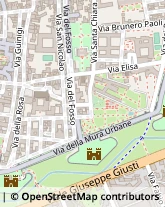 Via S. Nicolao, 65,55100Lucca