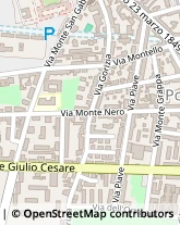 via Monte Nero, 16,28100Novara