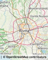 Concimi e Fertilizzanti,00163Roma