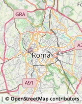 Concimi e Fertilizzanti,00191Roma