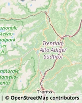 Campeggi, Villaggi Turistici e Ostelli,39057Bolzano