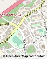 Via Antonio Annarumma, 7,83100Avellino