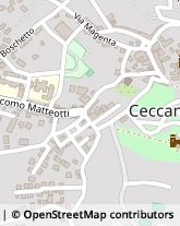 Viale della Libertà, 125,03023Ceccano