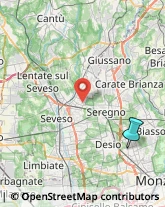 Feste - Organizzazione e Servizi,20851Monza e Brianza