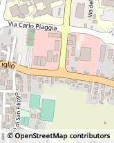 Via di Tiglio, 264,55100Lucca