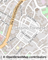 Via Giuseppe Mazzini, 20,10090Gassino Torinese