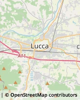 Trasporto Pubblico,55100Lucca