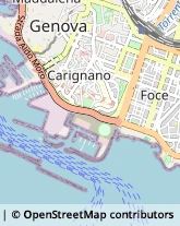 Corso Mentana, 21,16128Genova