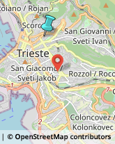 Autofficine e Centri Assistenza,34133Trieste