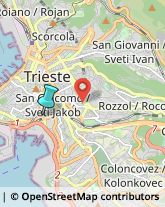 Autofficine e Centri Assistenza,34144Trieste