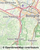 Via Risorgimento, 137,40069Zola Predosa