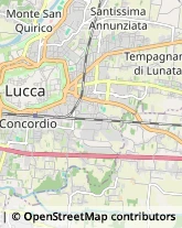 Via S. Giorgio, 19,55100Lucca