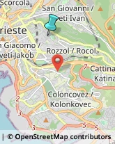 Agenzie Investigative,34142Trieste