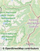 Associazioni Sindacali,38010Trento