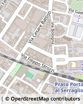 Via Porta al Serraglio, 7,59100Prato