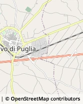 Via Isabella Griffi, 13/15,70037Ruvo di Puglia