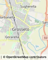 Via Papa Giovanni XXIII, 83,58100Grosseto