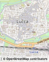 Via San Giorgio, 9,55100Lucca