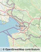 Consulenza di Direzione ed Organizzazione Aziendale,34074Gorizia