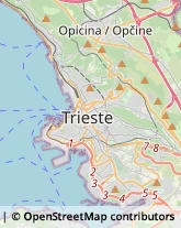 Agenzie di Animazione e Spettacolo,34128Trieste