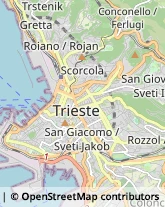 Articoli da Regalo - Dettaglio,34126Trieste