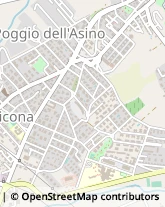 Via della Lega, 61,00052Cerveteri