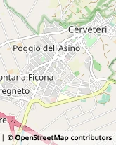 Via Passo di Palo, 8,00052Cerveteri