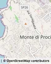 Via Torregaveta, 8,80070Monte di Procida