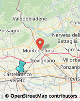 Agenzie di Vigilanza e Sorveglianza,31033Treviso