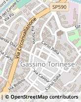 Via Circonvallazione, 15,10090Gassino Torinese