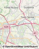 Aziende Agricole,00132Roma