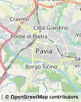 Traduttori ed Interpreti,27100Pavia