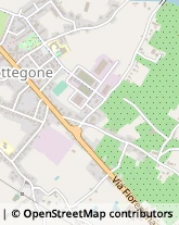 Strada Statale Fiorentina, 734/A,51100Pistoia