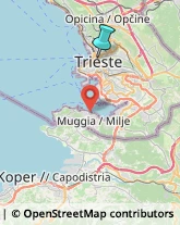 Agenzie di Animazione e Spettacolo,34122Trieste