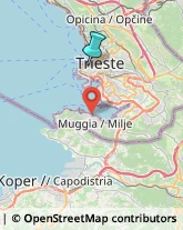 Agenzie di Animazione e Spettacolo,34123Trieste