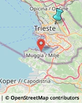 Agenzie di Animazione e Spettacolo,34128Trieste