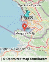 Impianti Sportivi,34143Trieste