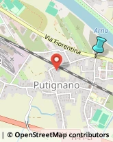 Autogru - Noleggio,56121Pisa