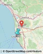 Consulenza Agricoltura e Foresta,57125Livorno