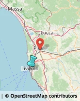 Consulenza Agricoltura e Foresta,57127Livorno