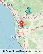 Consulenza Agricoltura e Foresta,55100Lucca