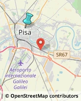 Cereali e Granaglie,56127Pisa