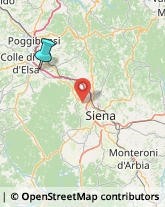 Articoli Sportivi - Dettaglio,53034Siena