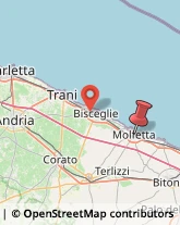 Corso Umberto I, 73,70056Molfetta