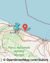 Articoli Sportivi - Dettaglio,76123Barletta-Andria-Trani