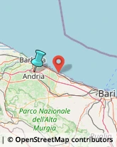 Articoli Sportivi - Dettaglio,76123Barletta-Andria-Trani