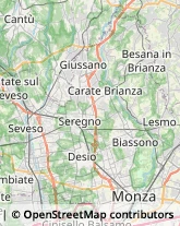 Viale Campania, 58,20900Monza