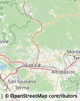 Caccia e Pesca Articoli - Ingrosso e Produzione,55011Lucca