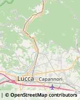 Caccia e Pesca Articoli - Ingrosso e Produzione,55013Lucca